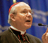 Cardenal Schönborn: “La Iglesia bate las alas, pero no acaba de levantar el vuelo”