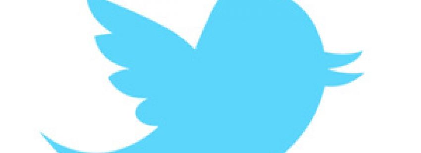 pájaro logo de Twitter