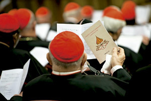 cardenal en las congregaciones generales previas al cónclave 2013