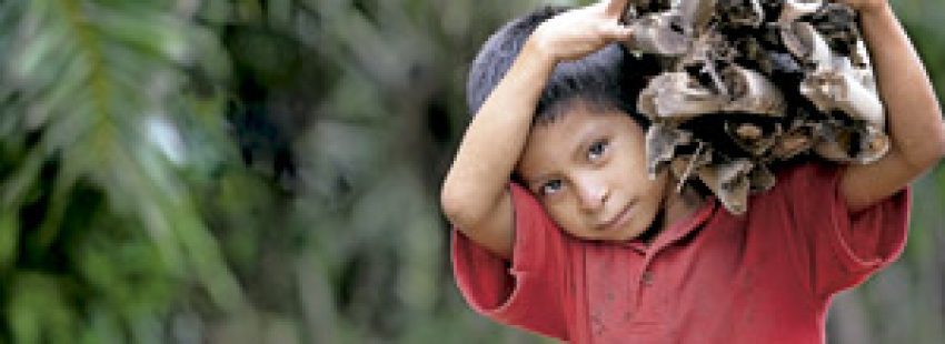 niño en Honduras transporta un atillo de leña