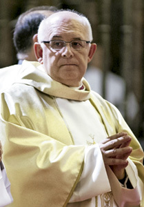 Ángel Fernández Collado, obispo auxiliar de Toledo