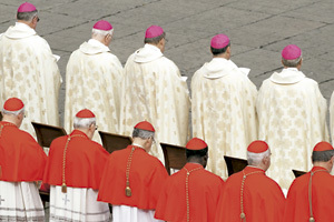 grupo de cardenales