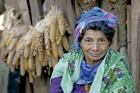 proyecto de agricultura de religiosa teresianas en México con las comunidades mayas