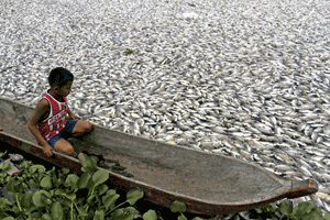 Niño en canoa en río con peces muertos