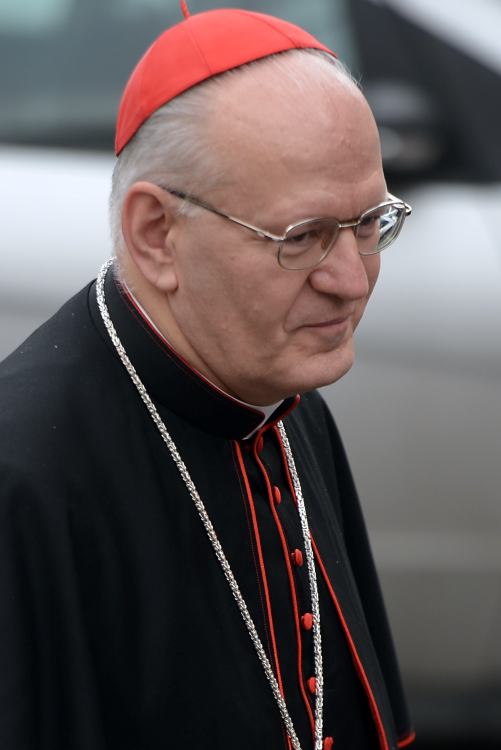 El cardenal Péter Ërdo.