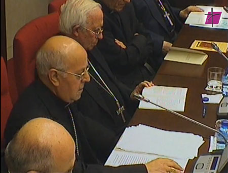 cardenal Blázquez en la 105 Asamblea Plenaria CEE 20 abril 2015 captura pantalla