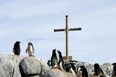 pingüinos entre las rocas al lado de un crucifijo