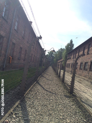 paseo por el campo de concentración de Auschwitz Polonia