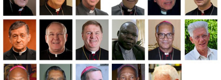 17 nuevos cardenales creados por el papa Francisco 19 noviembre 2016