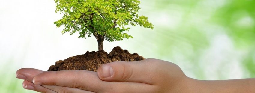 Los obispos de México piden limitar acciones consumistas que dañen la “casa común”