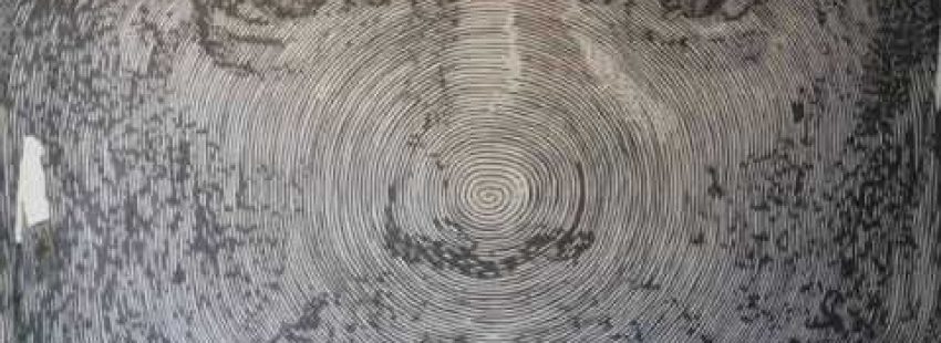 Santa Faz, de Žilda (2009)