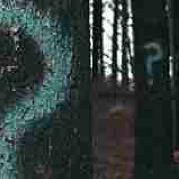 ¿Qué podemos esperar de un Sínodo dedicado a los jóvenes?