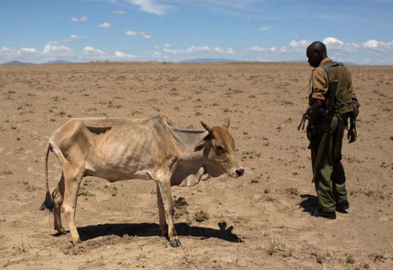 sequía Kenia crisis humanitaria vaca desnutrida a lado de un soldado tierra seca mayo 2017