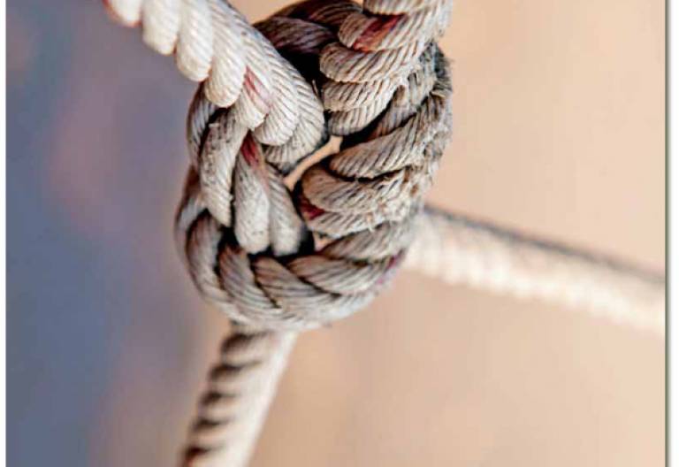 portada Somos Confer intercongregacionalidad 3041 junio 2017