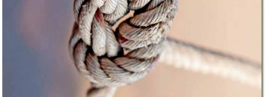 portada Somos Confer intercongregacionalidad 3041 junio 2017