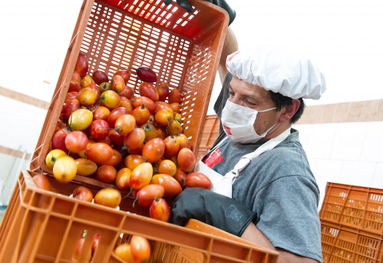 Los bancos de alimentos: acción samaritana de la Iglesia