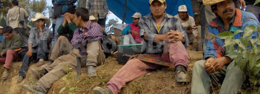 Una Iglesia en alerta: “¡Nos duele México!”