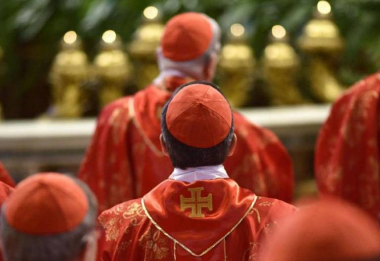 cardenales iglesia católica en una misa