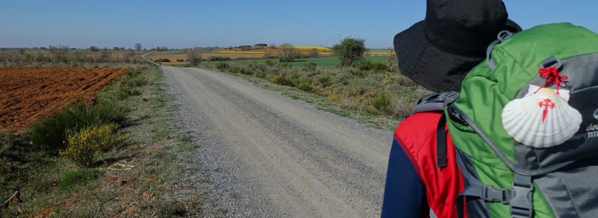 peregrino camino de Santiago con mochila y concha de vieira