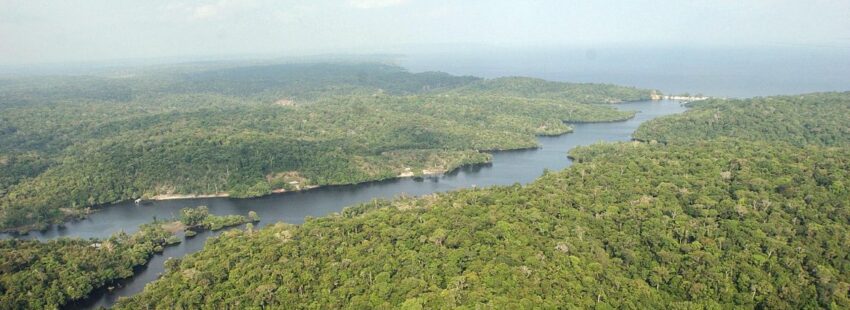 Manos Unidas llama a sembrar paz, esperanza y justicia ecológica durante el Tiempo de la Creación