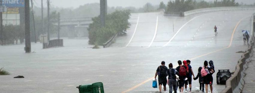 La Iglesia de EE.UU. convoca a una colecta especial para ayudar a los damnificados por el huracán