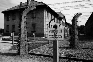 Auschwitz 5 
