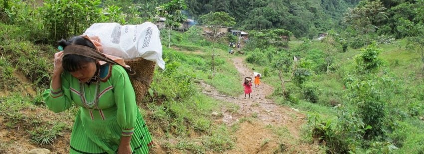 Los siete millones que huyen