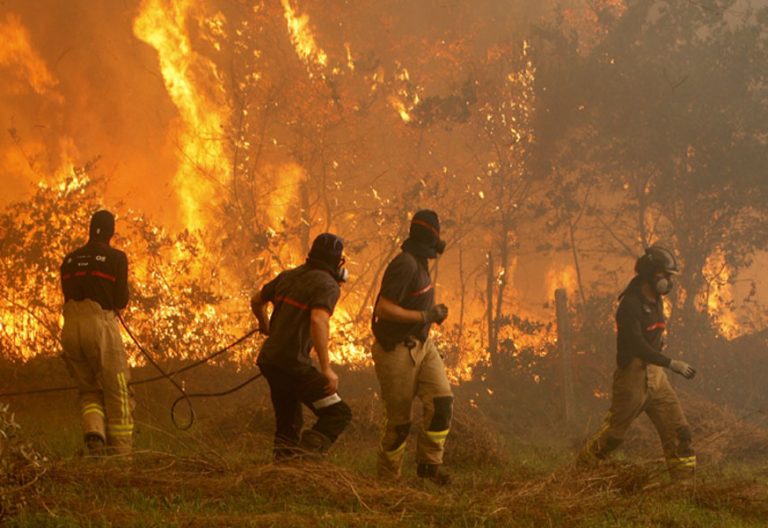 Los obispos de Galicia, contra quienes provocan incendios: “Es un gesto de grave inmoralidad”