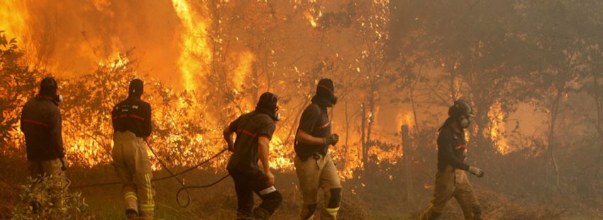 Los obispos de Galicia, contra quienes provocan incendios: “Es un gesto de grave inmoralidad”