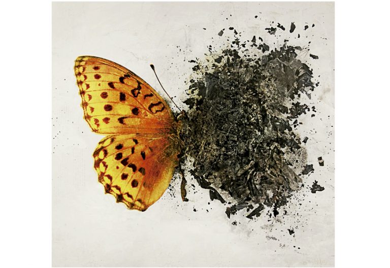 ilustración de una mariposa con un ala quemándose o deshaciéndose