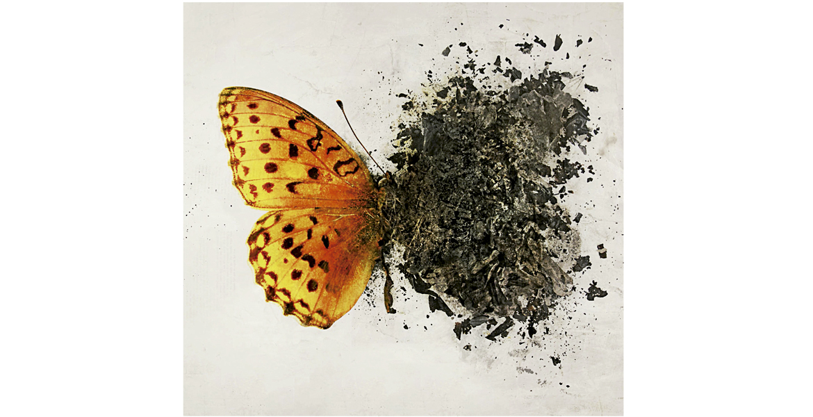 ilustración de una mariposa con un ala quemándose o deshaciéndose