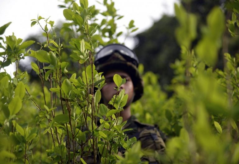 Muertos, heridos y ataques a la población civil en Tumaco