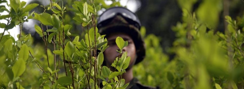 Muertos, heridos y ataques a la población civil en Tumaco