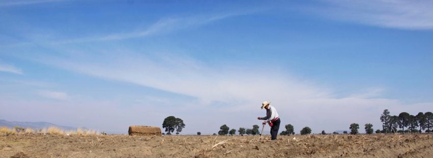 La segunda oportunidad sobre la tierra colombiana