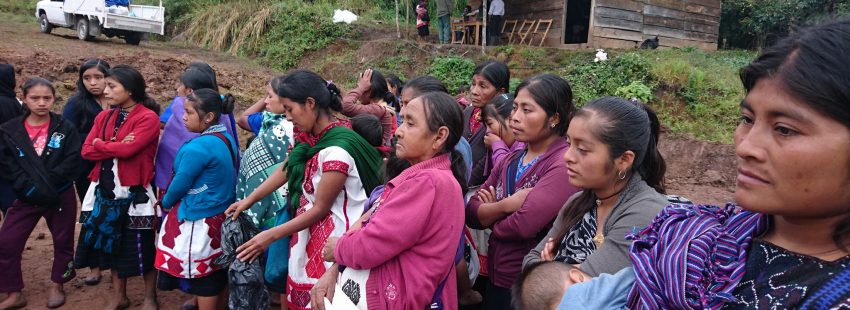 Obispo Arizmendi: “Los indígenas están desplazados y despojados”