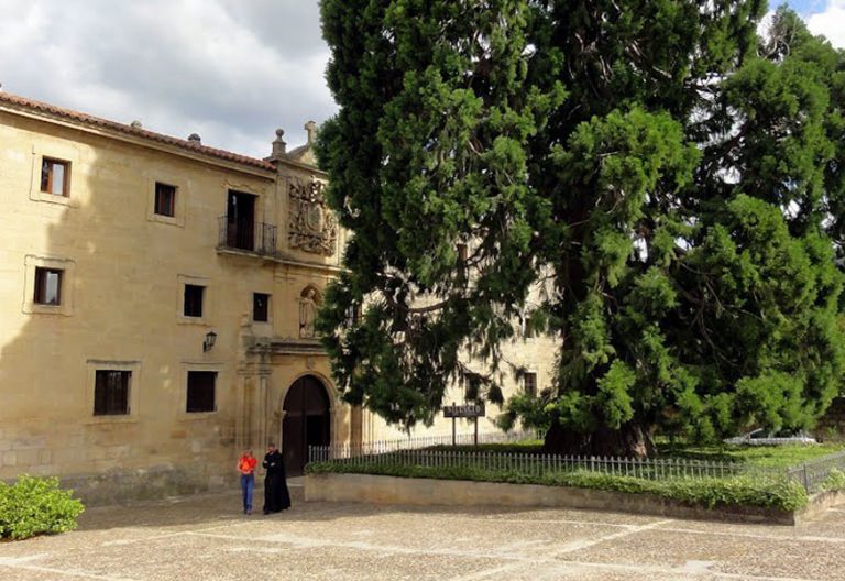 Una secuoya, llegada desde Canadá en 1890, preside la entrada principal del monasterio burgalés de Silos