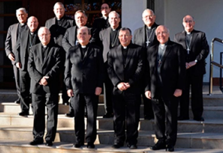 Reunión de los Obispos del Sur en Guadix en enero de 2017