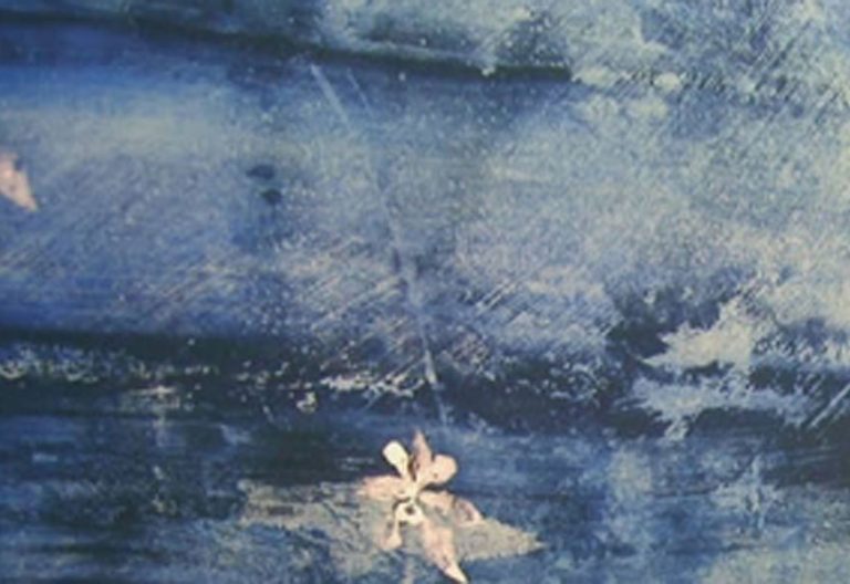 Cuadro de flores de Columbine hecho por Makoto Fujimura