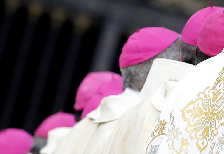 Un grupo de obispos, de espalda, participa en una ceremonia en el Vaticano