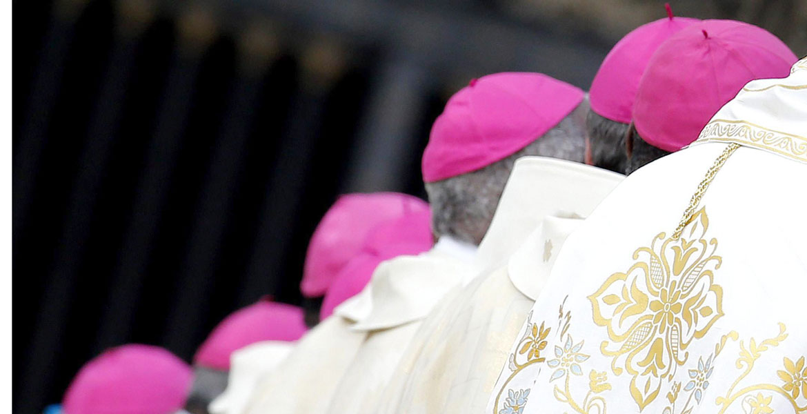 Un grupo de obispos, de espalda, participa en una ceremonia en el Vaticano