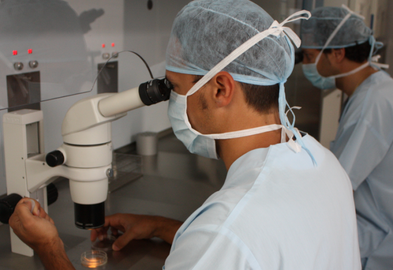 La Iglesia de Asturias se opone a la flexibilización de la fecundación in vitro