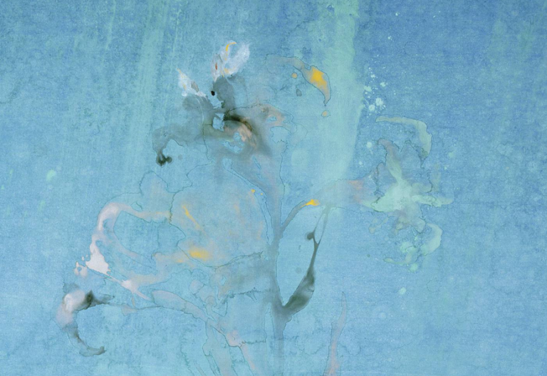 los lirios objeto de estudio y arte por parte de makoto fujimura