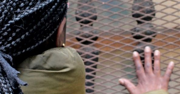 Portada SomosCONFER 8