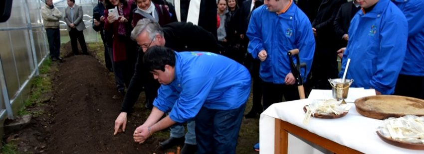Invernadero para personas con síndrome de Down en la diócesis chilena de Concepción