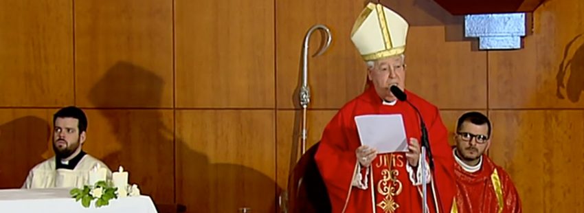 Reig Plà reivindica 'Humanae Vitae' frente al “desierto demográfico” que  vive España