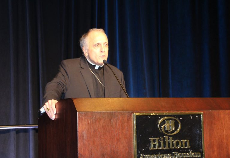 Los obispos de EE.UU. agradecen al Papa la carta sobre abusos sexuales cometidos por sacerdotes