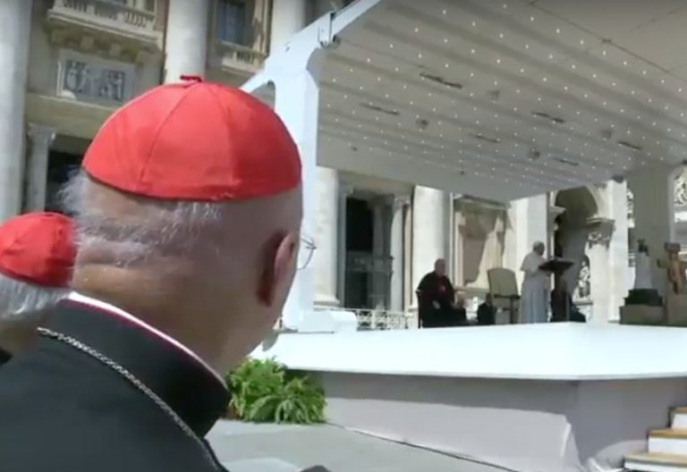 Francisco reclama a los jóvenes en el Ángelus: “¡Sed protagonistas del bien!”