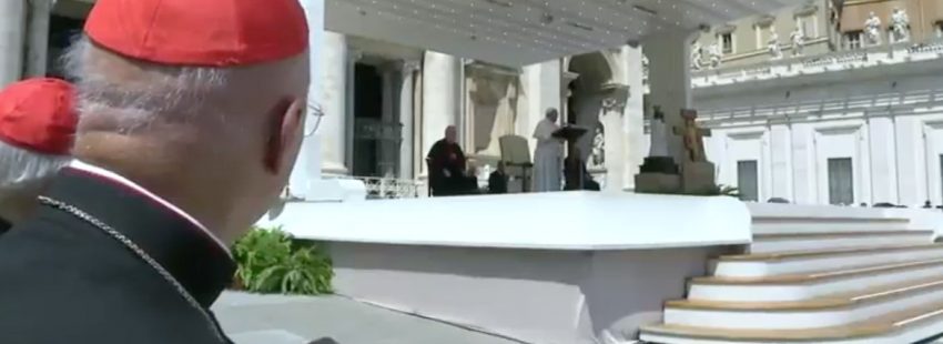 Francisco reclama a los jóvenes en el Ángelus: “¡Sed protagonistas del bien!”