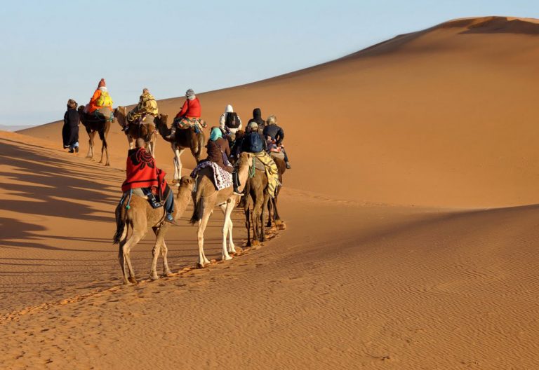 Caravana de camellos en el Sahara