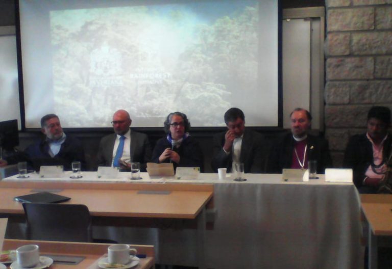 Líderes religiosos se comprometen a “poner fin a la destrucción de bosques en Colombia”